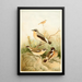 Traquet Tarier and Meadow Pipit - Joseph Smit — framed artwork on a wall