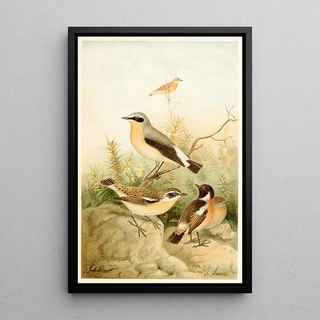 Traquet Tarier and Meadow Pipit - Joseph Smit — framed artwork on a wall