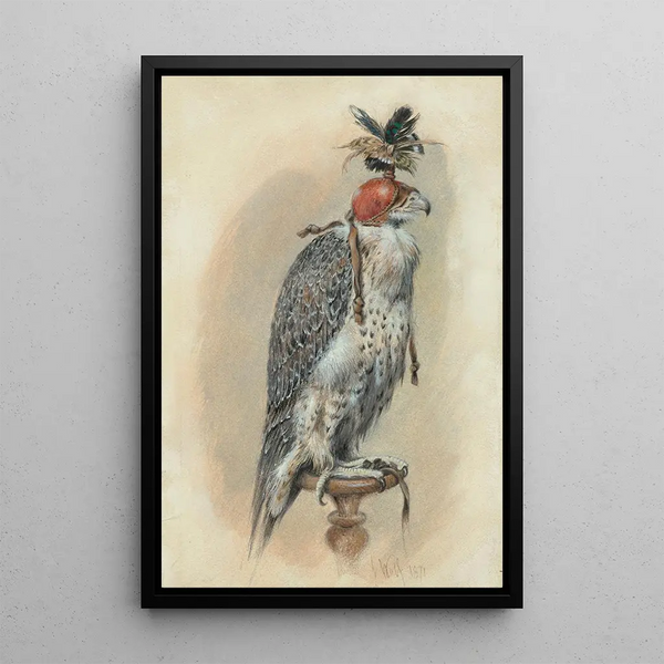A hooded goshawk falcon - Joseph Wolf — framed artwork on a wall