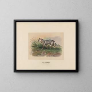 Fox d'Azara - Joseph Wolf — framed artwork on a wall