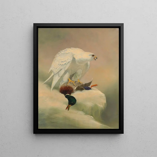 Gyrfalcon - Joseph Wolf — framed artwork on a wall