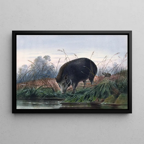 The Pig of the Andaman - Joseph Wolf — framed artwork on a wall