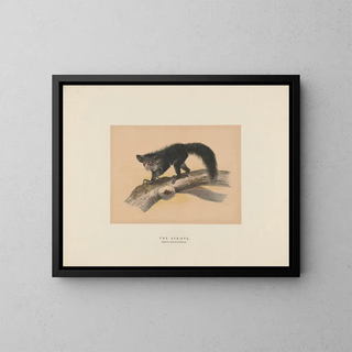 L'Aye-Aye - Joseph Wolf — framed artwork on a wall