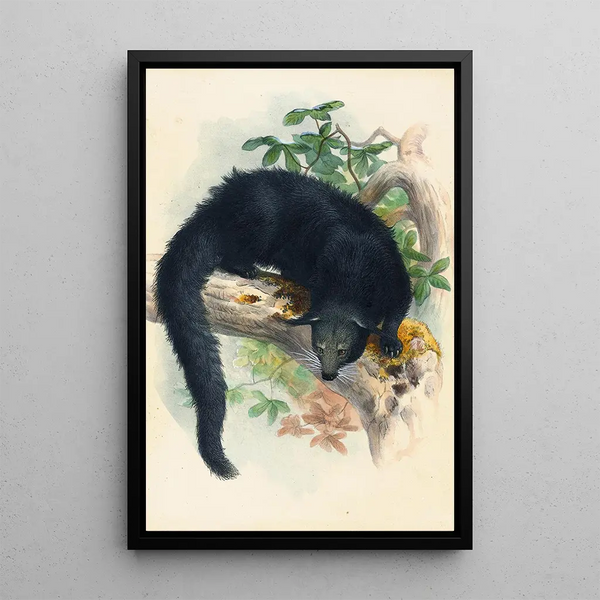 Le Binturong - Joseph Wolf — framed artwork on a wall
