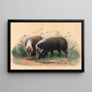 Joseph Wolf - The BoschVark.webp