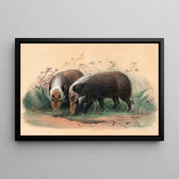 The boar - Joseph Wolf — framed artwork on a wall