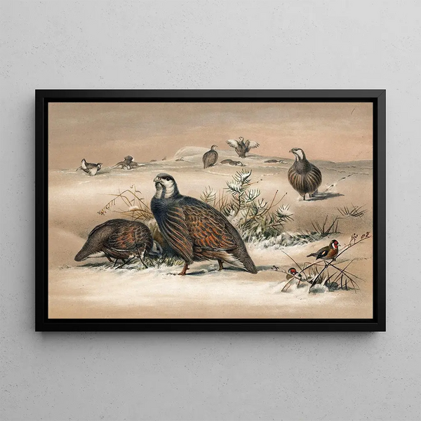 La Perdrix des neiges de la Caspienne - Joseph Wolf — framed artwork on a wall