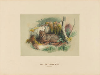 The Egyptian Cat - Joseph Wolf — artwork view