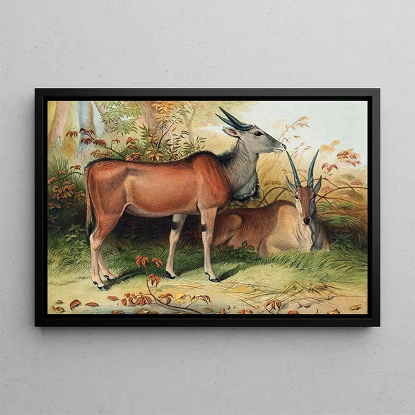 L'Éland - Joseph Wolf — framed artwork on a wall