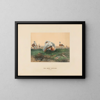 The Great White Heron - Joseph Wolf — framed artwork on a wall