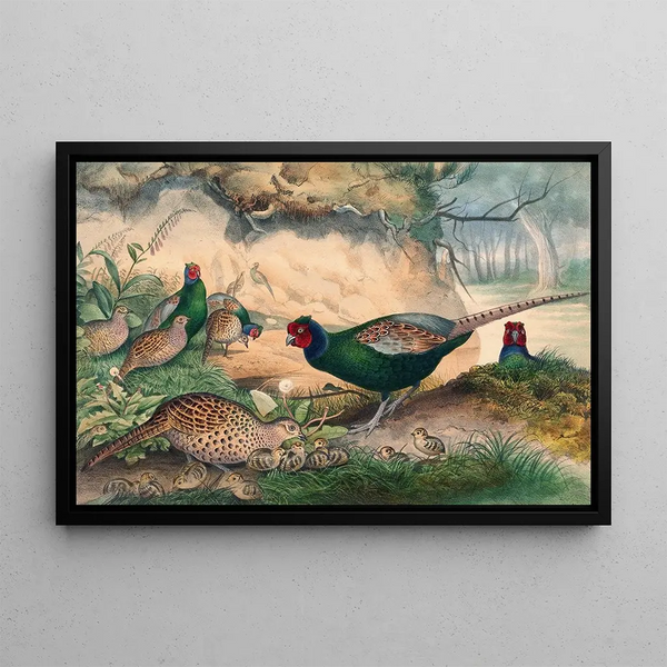 The Japanese Pheasant - Joseph Wolf — framed artwork on a wall