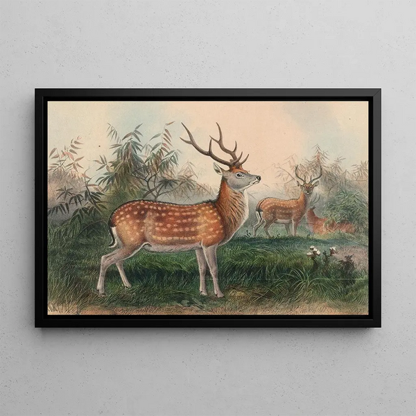 The Japanese Deer - Joseph Wolf — framed artwork on a wall