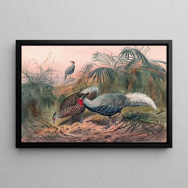 The Striped Pheasant - Joseph Wolf — framed artwork on a wall