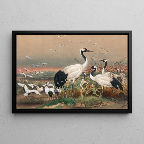 La Grue de Mandchourie - Joseph Wolf — framed artwork on a wall