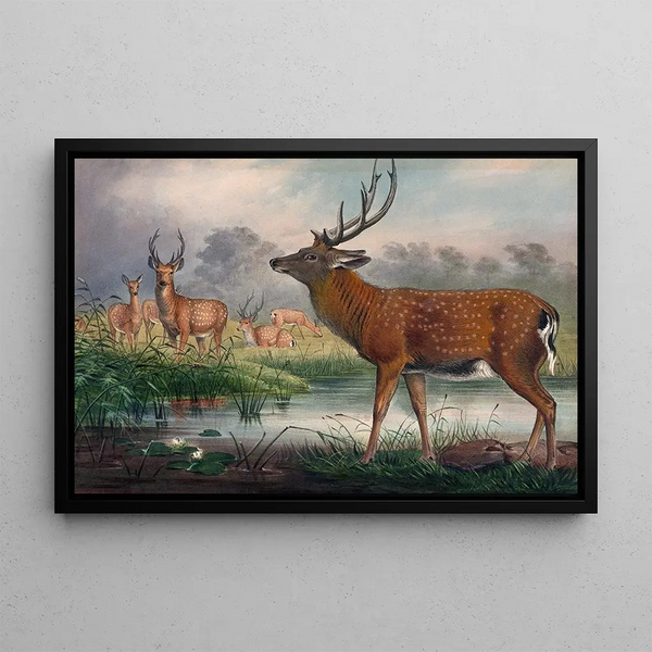 The Manchurian Deer - Joseph Wolf — framed artwork on a wall