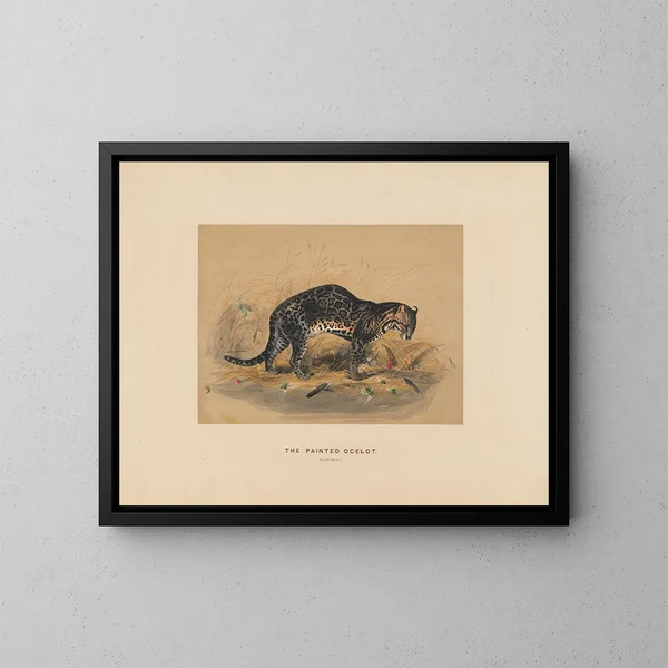 L'ocelot painting - Joseph Wolf — framed artwork on a wall
