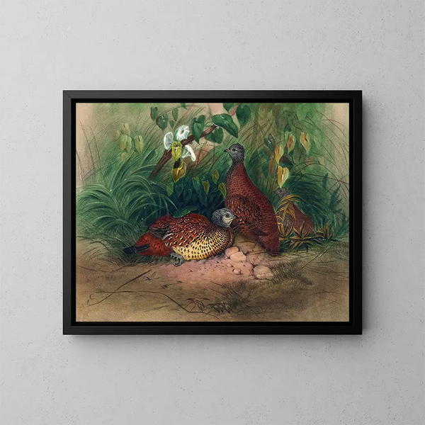 The pheasant painted - Joseph Wolf — framed artwork on a wall