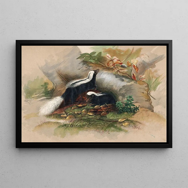 La Moufette de Patagonie - Joseph Wolf — framed artwork on a wall