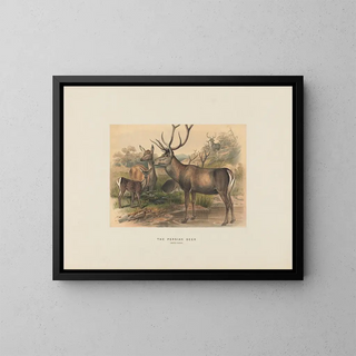 The Persian Deer - Joseph Wolf — framed artwork on a wall