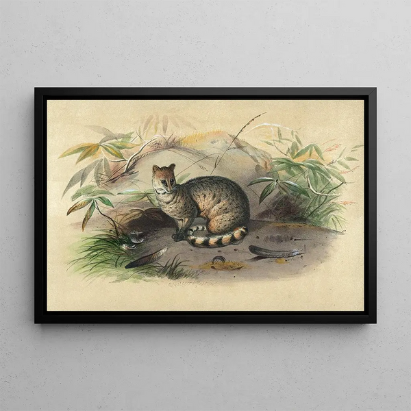 Le Rasse - Joseph Wolf — framed artwork on a wall