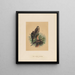 The Sacred Falcon - Joseph Wolf — framed artwork on a wall