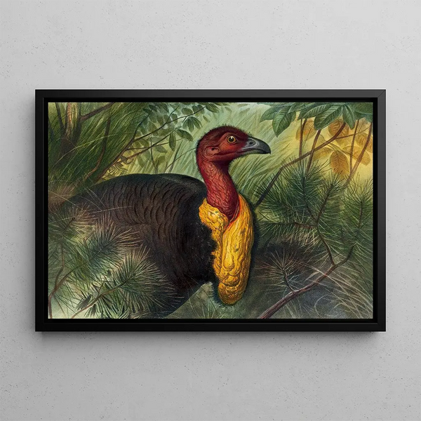 Le Talegalla - Joseph Wolf — framed artwork on a wall