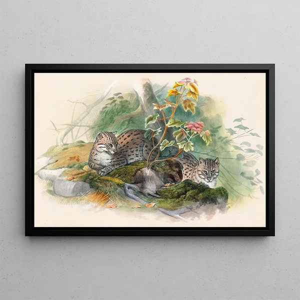 The Wagati Cat - Joseph Wolf — framed artwork on a wall
