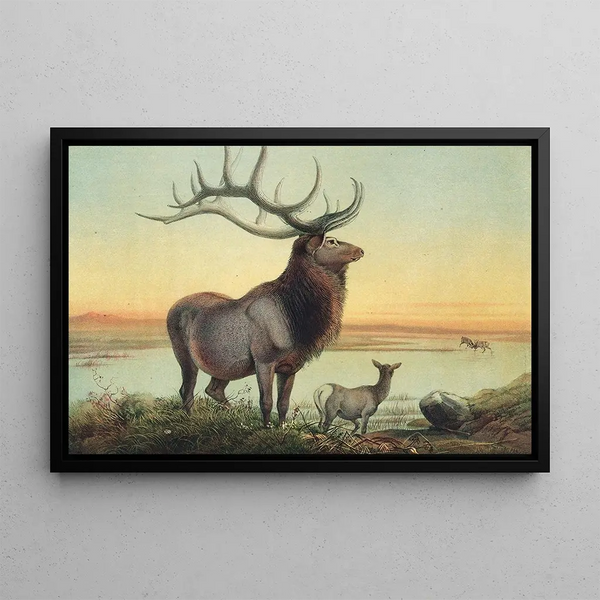 The Elk - Joseph Wolf — framed artwork on a wall