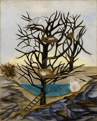 Josephine Joy - Waterbirds Nesting.webp