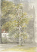 Tree in front of the manor gate - Jozef Israëls — artwork view