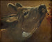 Study of a Deer - Jørgen Roed — artwork view