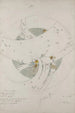 Project for a Soup Plate - Jules Auguste Habert-Dys — artwork view