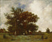 Chênes de Fontainebleau - Jules Dupré — artwork view