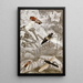 Diptera Painting Pl XXI - Jules Rothschild — framed artwork on a wall
