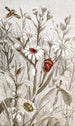 Hemiptera Pl XV - Jules Rothschild — artwork view