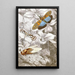 Hemiptera Pl XVI - Jules Rothschild — framed artwork on a wall