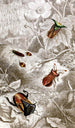 Hemiptera Pl XX - Jules Rothschild — artwork view