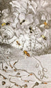 Hyménoptères Pl XI - Jules Rothschild — artwork view