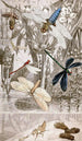 Névroptères Pl IV - Jules Rothschild — artwork view