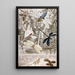 Névroptères Pl IV - Jules Rothschild — framed artwork on a wall