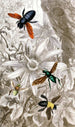 Névroptères Pl VII - Jules Rothschild — artwork view