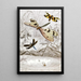 Névroptères Pl V - Jules Rothschild — framed artwork on a wall