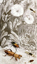 Orthopteran Painting I - Jules Rothschild — artwork view