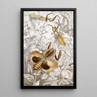 Orthopteran Painting Pl II - Jules Rothschild — framed artwork on a wall