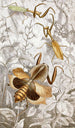 Orthopteran Painting Pl II - Jules Rothschild — artwork view