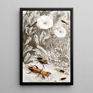 Orthopteran Painting I - Jules Rothschild — framed artwork on a wall