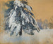 Chapeau de neige - Julian Fałat — artwork view