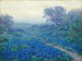 Blueberries at sunrise - Julian Onderdonk — artwork view
