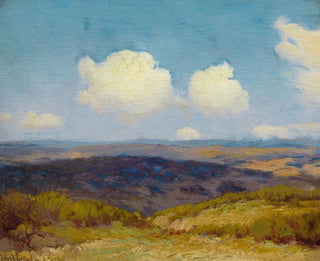 Shadows in Flight - Julian Onderdonk — artwork view