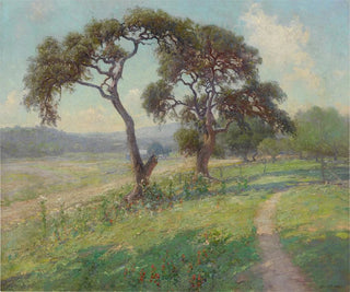 Landscape of Texas Hill Country without title - Julian Onderdonk — artwork view